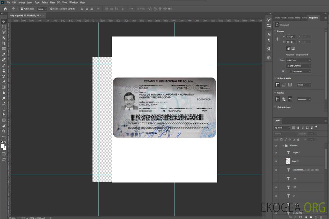 Visa BOLIVIE template